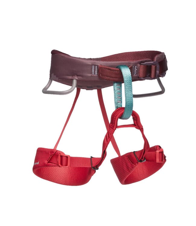 Black Diamond Momentum Harness - Kids'