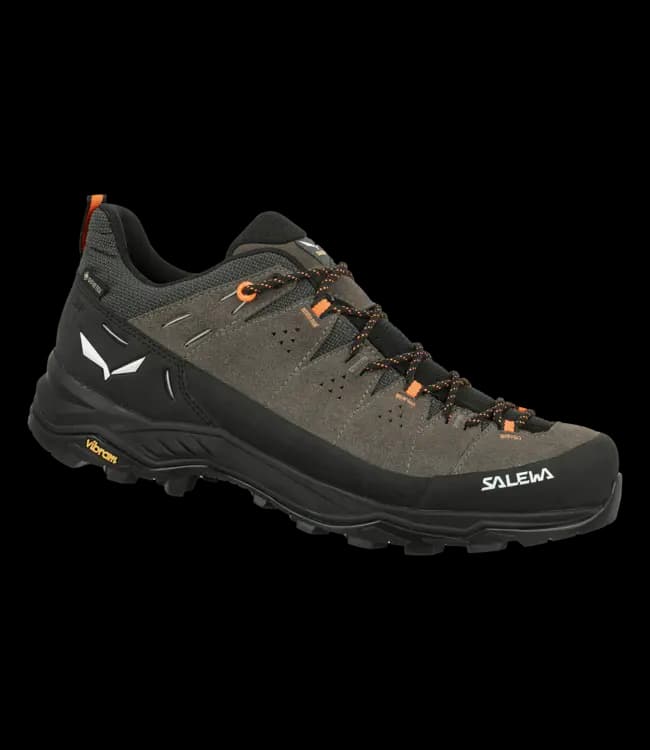 Salewa Alp Trainer 2 Gore-Tex® Men's Shoe