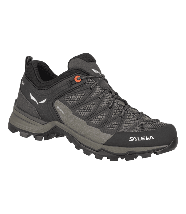 Salewa Mountain Trainer Lite GORE-TEX® Women's Shoes